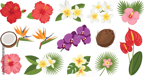 Tropical flowers and plants set with hibiscus orchid palm leaves exotic botanical vector illustration collection