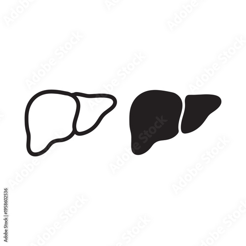 Illustration of a human liver in both white and black depictions
