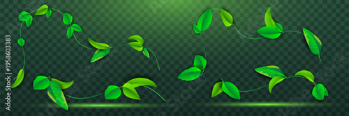 Green Leaves Flying Particles Background