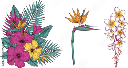 Vintage Hand Sketched Tropical Botanical Arrangement Set Featuring Hibiscus Palm Leaves Bird of Paradise and Plumeria Vine for Luxury Island Summer Graphic Designs