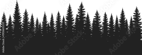 Coniferous forest skyline silhouette with varied pine and fir trees, artistic black and white minimalist nature illustration, wilderness design