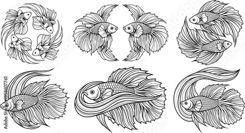 Betta Fish Line Art Set with Siamese Fighting Fish Ornamental Illustration Black and White Tattoo Style Vector Illustration Collection