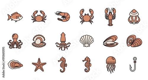 Collection of Diverse Marine Creatures Including Crabs, Starfish, and Shells for Ocean Life Imagery
