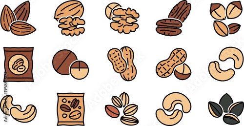 A variety of nuts and seeds in cartoon style illustrations