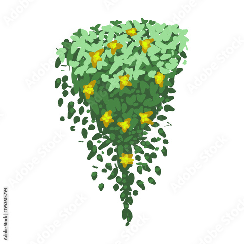 Hanging plant with yellow flowers vector illustration isolated on white background.