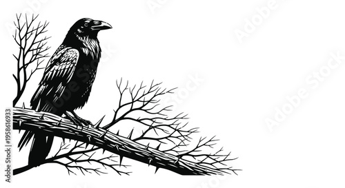 Black Raven Sitting on Thorny Branch Detailed Illustration