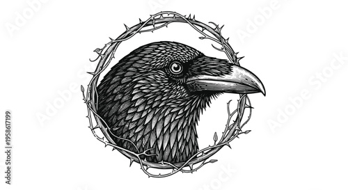 Raven Bird in a Circular Frame of Thorns Illustration