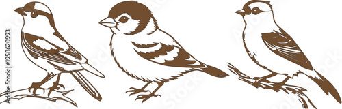 Foto sparrow vector illustration style flat silhouette