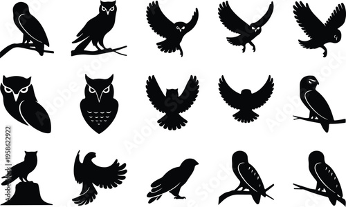 Owl Silhouette Icon Collection Set