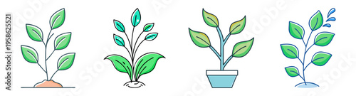 plant growth stages flat design vector illustration from seed to leaf