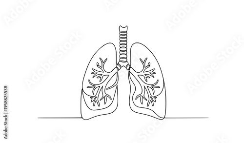 Minimal human lungs continuous line art respiratory system vector illustration
