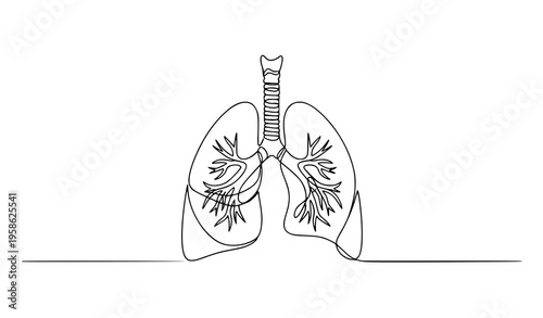 Continuous one line drawing human lungs anatomy medical vector illustration