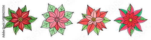 set of vibrant poinsettia flowers flat design vector illustration
