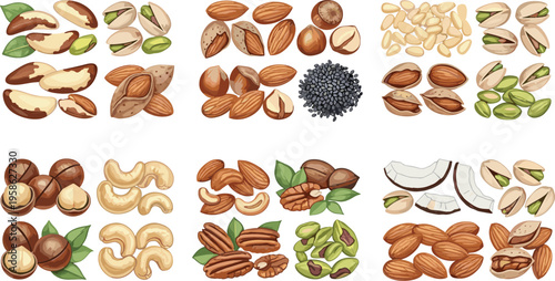 Mixed Nuts and Seeds Collection with Almonds Cashews Pistachios Hazelnuts and Sunflower Seeds for Healthy Snack Food Illustration Set