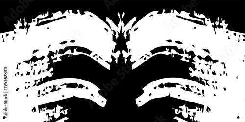 Abstract Black and White Symmetrical Tribal Inkblot Pattern