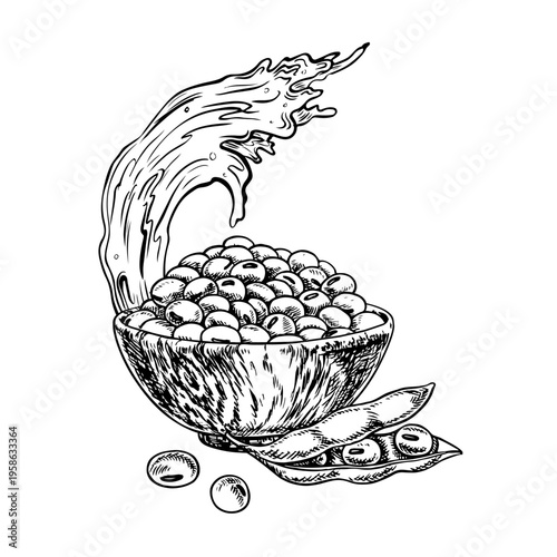 Soybeans in a wooden bowl and soy pod, a splash of oil. Black and white vector graphic illustration. Isolate. Perfect for creating product labels, posters, banners, menus, and more.