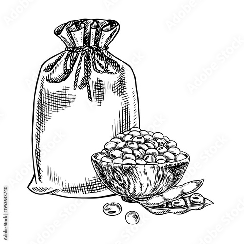 Soybeans in a jute bag and a wooden bowl. Black and white vector graphic illustration. Perfect for creating product labels, posters, banners, menus, and more.