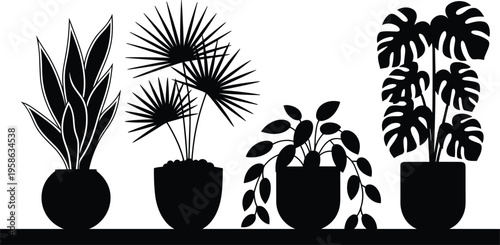 Black silhouette collection of modern indoor houseplants in pots on shelf, minimalist botanical illustration isolated on light background for home decor design