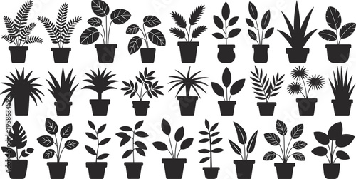 Black silhouette collection of various potted indoor plants, decorative botanical houseplants isolated on light background for modern interior design