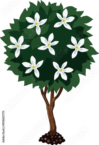 Blooming citrus orange tree illustration with white flowers and green leaves isolated on white background