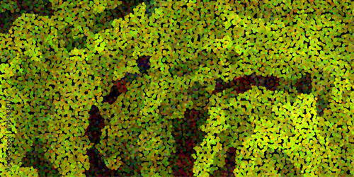 Fotografi Vibrant pointillist abstract pattern of green and yellow dots creating a texture