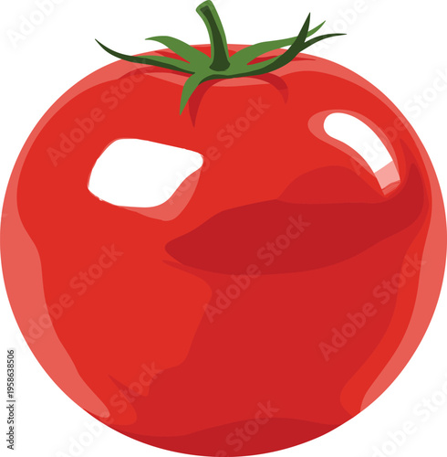 Fresh ripe red tomato vector illustration with glossy surface, green stem detail, realistic natural design for food, nutrition, cooking, gardening, and healthy lifestyle concepts