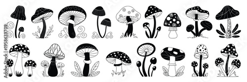 Mystical mushrooms engraving vector set with boho magic style, poisonous and edible fungi stencil collection, psychedelic organic line art, etching style print ornament for nature design