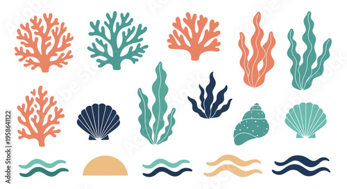 Set of 15 ocean coral and sea shell vector icons