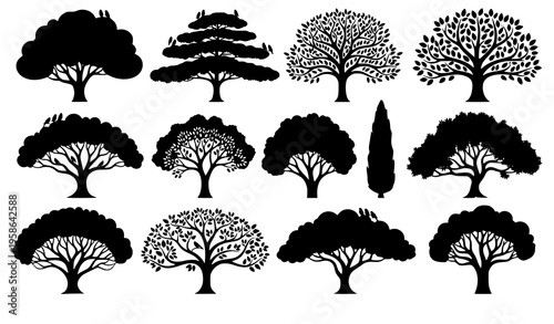 Abstract tree silhouettes with creative canopy patterns and birds decorative woodland vector illustration isolated on white