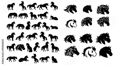 horse silhoutess horses black horse side horse running horse face horse jumped horse vector