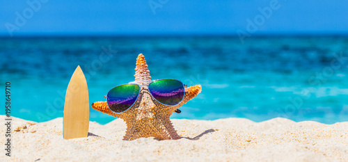 Starfish rest and tan on the white sand