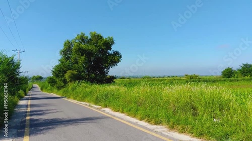 Empty Rural Roadway with Yellow Lines and Green Fields Under Blue Sky