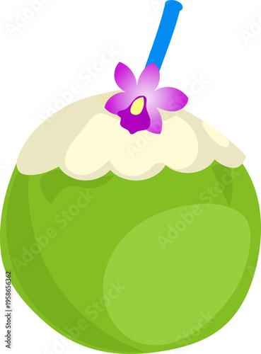 Green Coconut Drink Tropical Refreshment