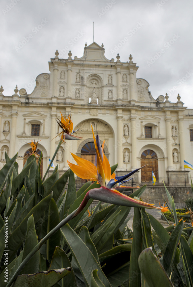 custom made wallpaper toronto digitalHistoric colonial church framed by tropical flowers under a cloudy sky, blending architecture and nature in a picturesque Latin American cultural landmark.