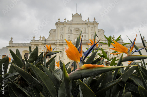 Wallpaper Mural Historic colonial church framed by tropical flowers under a cloudy sky, blending architecture and nature in a picturesque Latin American cultural landmark. Torontodigital.ca