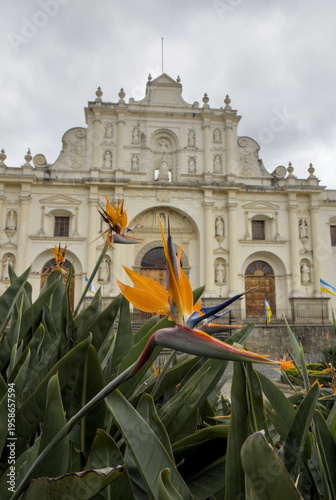 Wallpaper Mural Historic colonial church framed by tropical flowers under a cloudy sky, blending architecture and nature in a picturesque Latin American cultural landmark. Torontodigital.ca