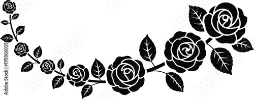 Rose floral border vector, black horizontal floral line with roses leaves and connected stems isolated on white background for classic ornamental border design.