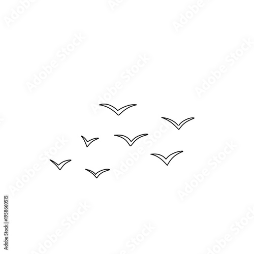 flock of flying birds