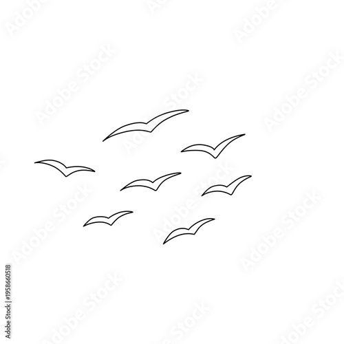 flock of flying birds