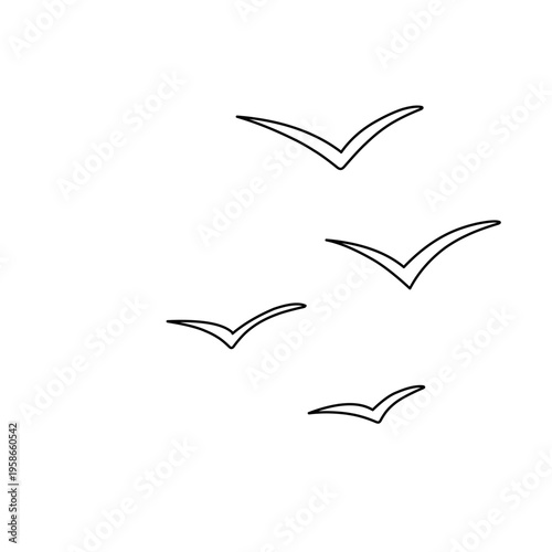 flock of flying birds