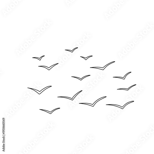 flock of flying birds