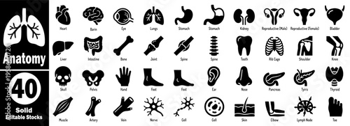 Anatomy Solid Icons Set. Black fill style representing organs and body parts like the brain, heart, lungs, and more, vector illustration.