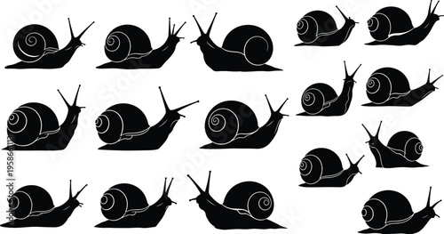 Snail silhouettes collection vector illustration, multiple crawling snail icons with shell details, nature animal set isolated on white background, simple black design concept