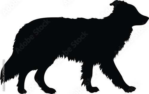 Border Collie silhouette vector illustration black and white