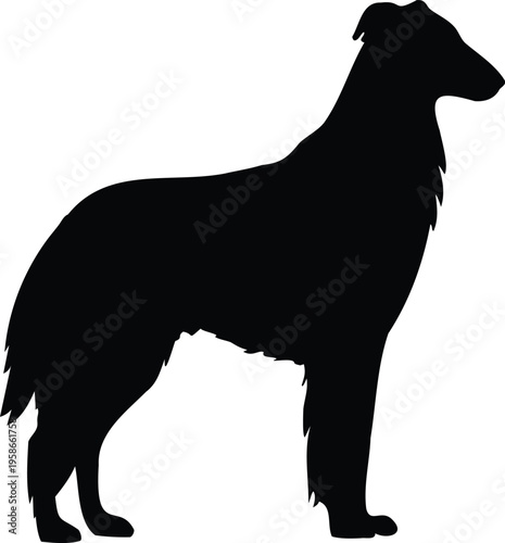 Border Collie silhouette vector illustration black and white