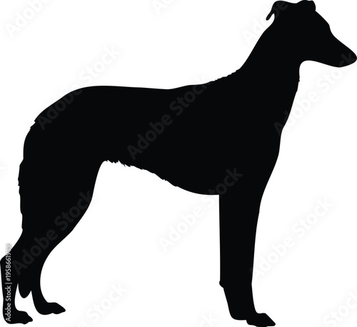 Border Collie silhouette vector illustration black and white