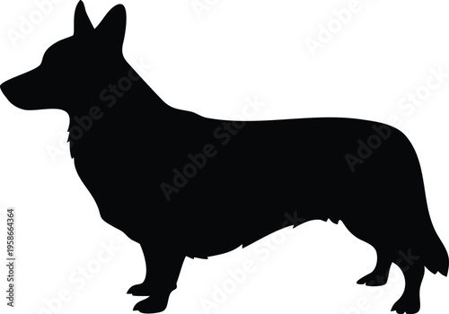 Pembroke Welsh Corgi silhouette vector illustration black and white