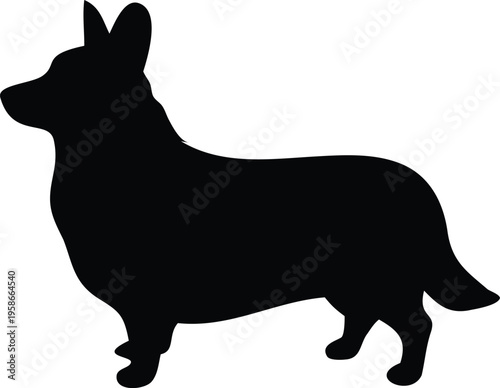 Pembroke Welsh Corgi silhouette vector illustration black and white