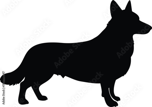 Pembroke Welsh Corgi silhouette vector illustration black and white