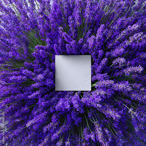 Photo frame with lavender flowers
